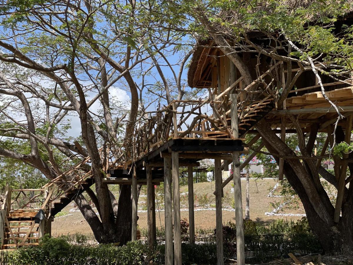 Antonio Beach Tree House Hotel & Spa Uroa Exteriör bild